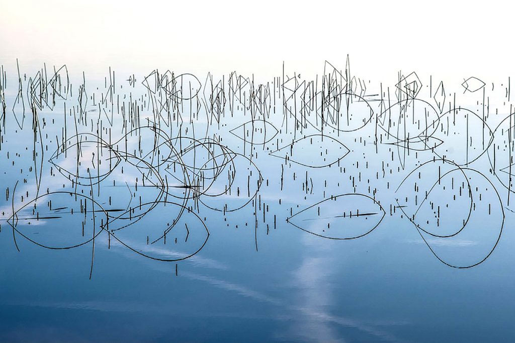 Allan Wright, 'Piscean Reeds'