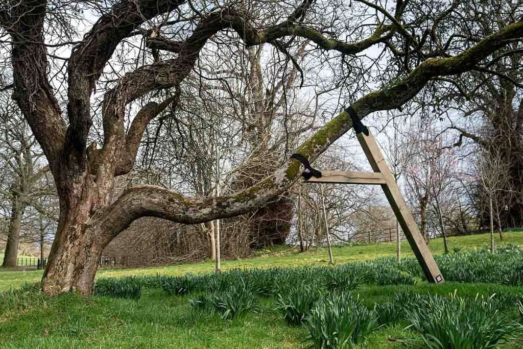 I Remember - Scotland’s Covid Memorial, Photo: Hannah Laycock