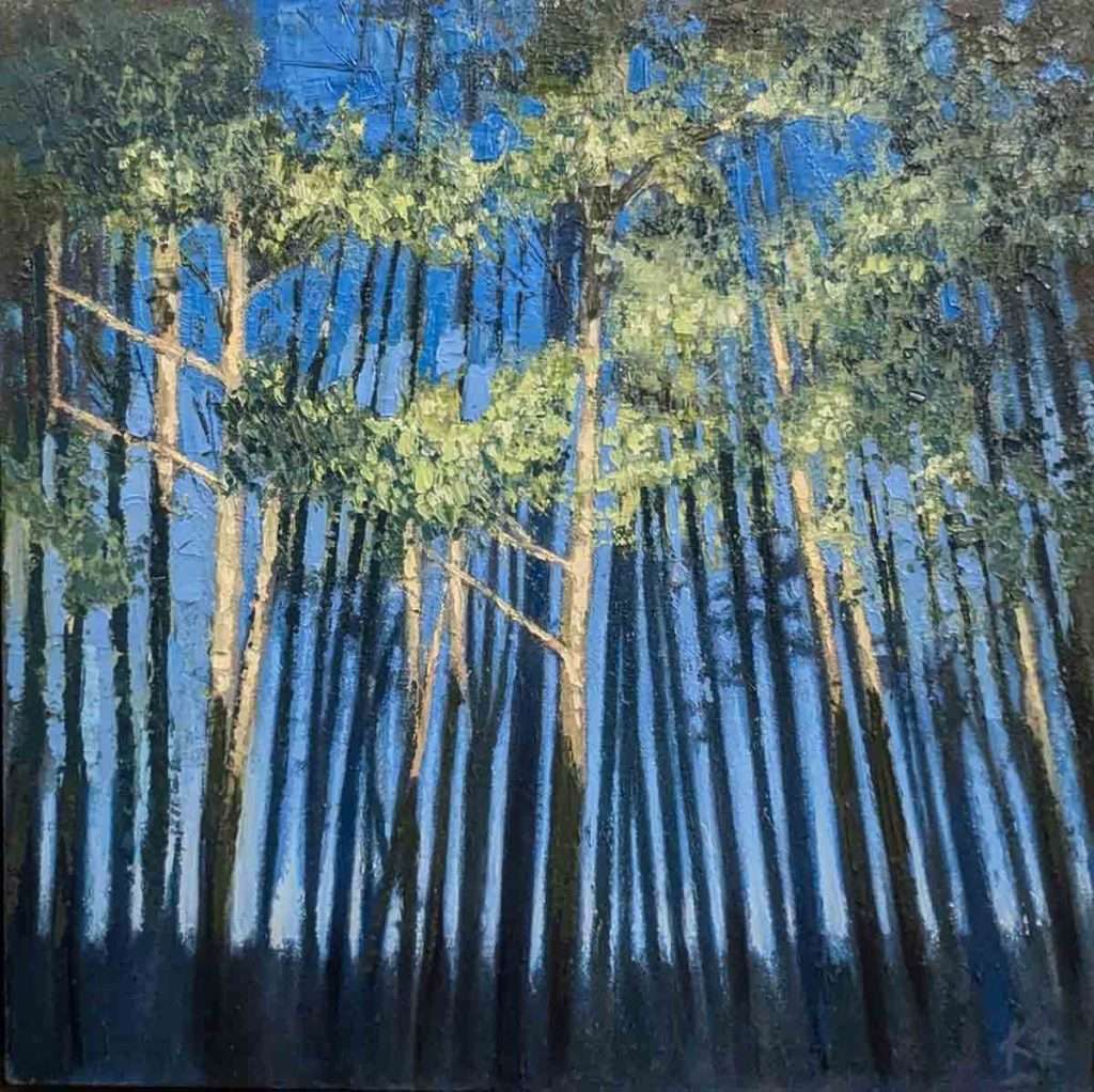 Kerr Rodgie, 'Scots Pine Illuminated', oil on canvas